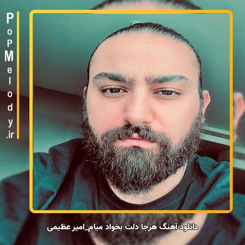 دانلود آهنگ امیر عظیمی هرجا دلت بخواد میام
